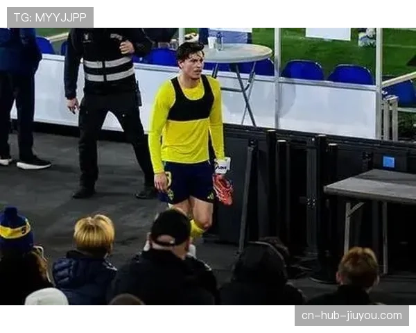 瑞典球迷嘘声惹祸，球队被罚款后选择不申诉以维护国际形象